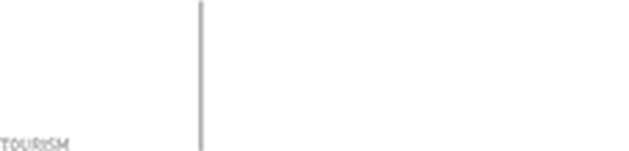 tnz footer logo